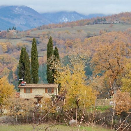 Agriturismo Mandrioli Пратовеккьо Экстерьер фото