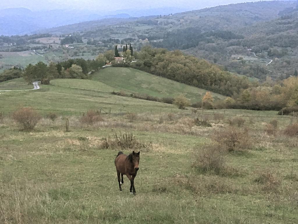 Agriturismo Mandrioli Пратовеккьо Экстерьер фото