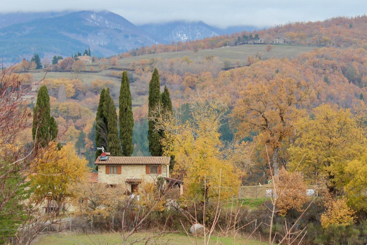 Agriturismo Mandrioli Пратовеккьо Экстерьер фото